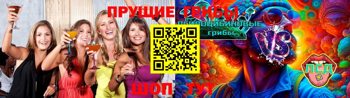 Южноуральск  Псилоцибиновые грибы Psilocybine cubensis  Вход с VPN 
